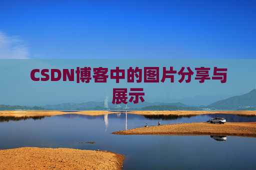 CSDN博客中的图片分享与展示